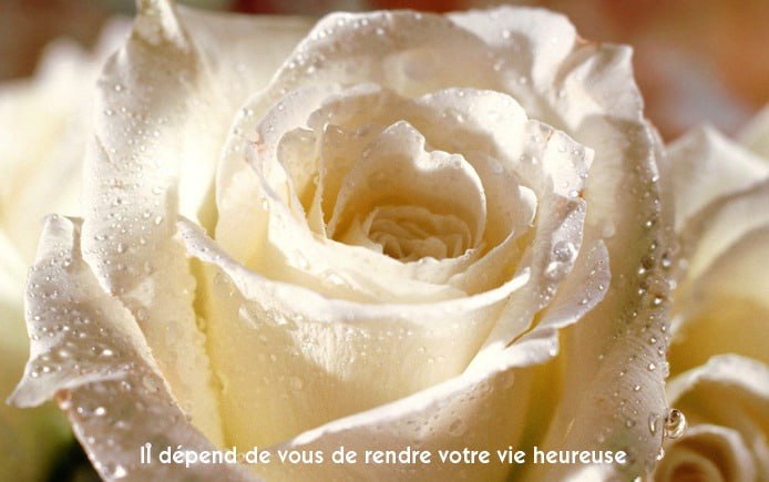 Aime comme le soleil