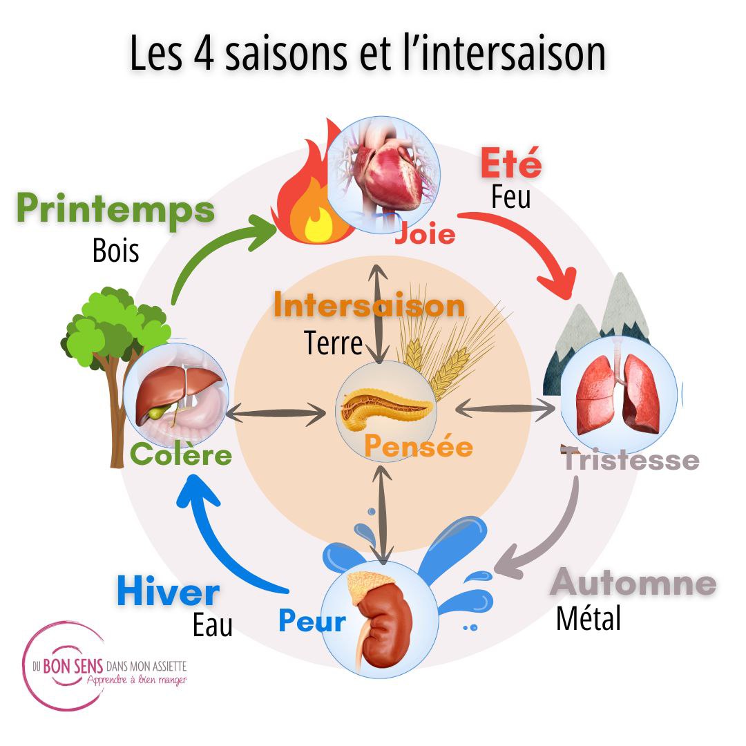 Les cinq éléments de la médecine chinoise